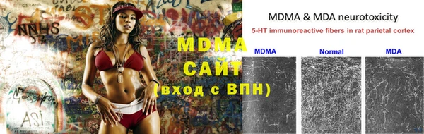 apvp Алзамай