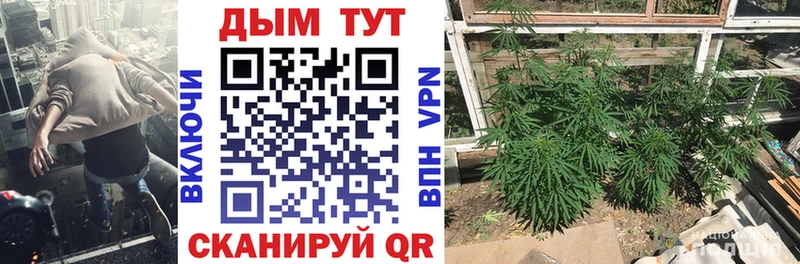 Бошки Шишки семена  наркотики  Любань 
